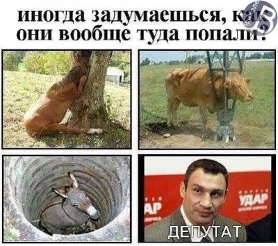 Прикрепленное изображение: 111.jpg